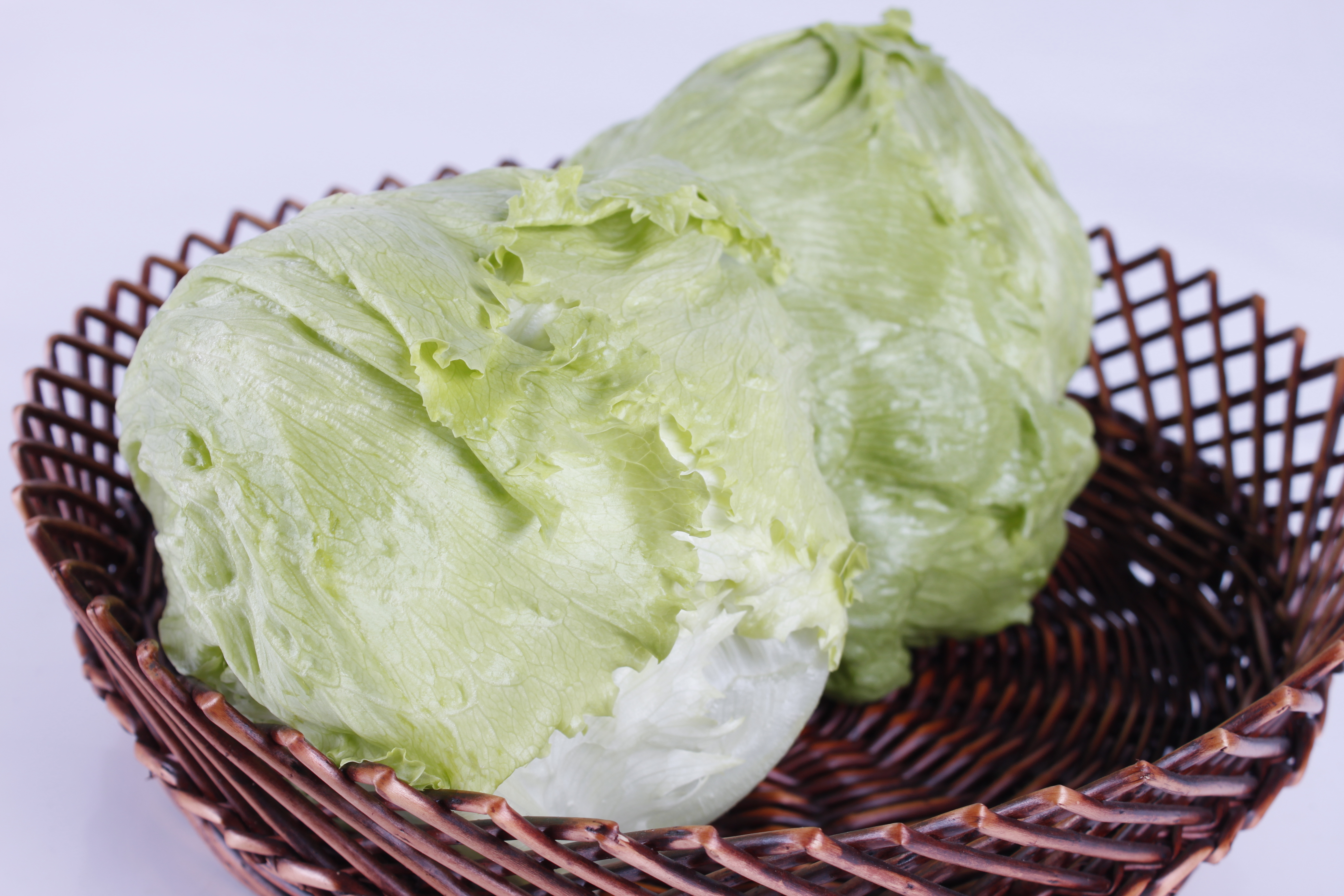 結(jié)球生菜